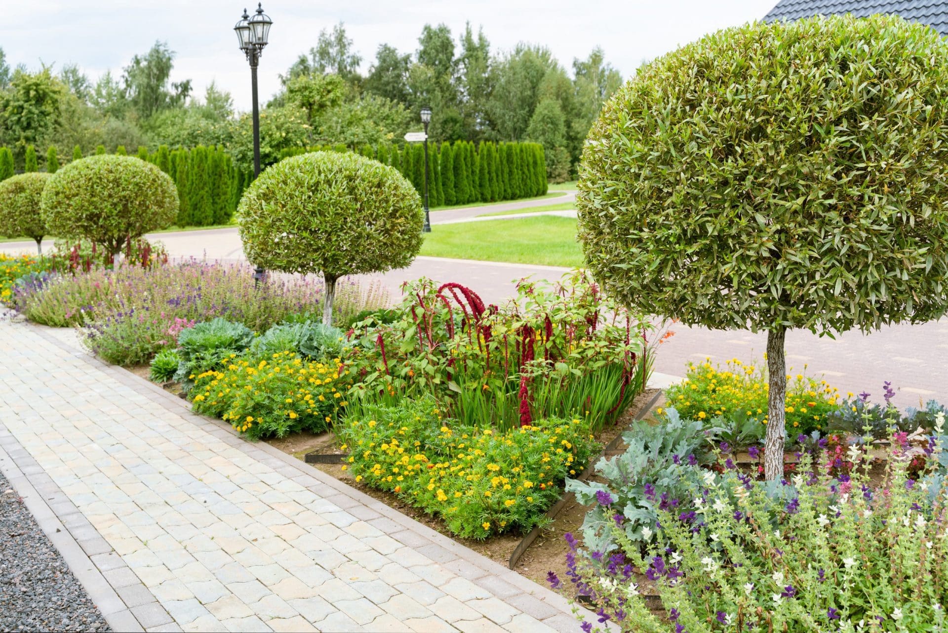 landscape design
