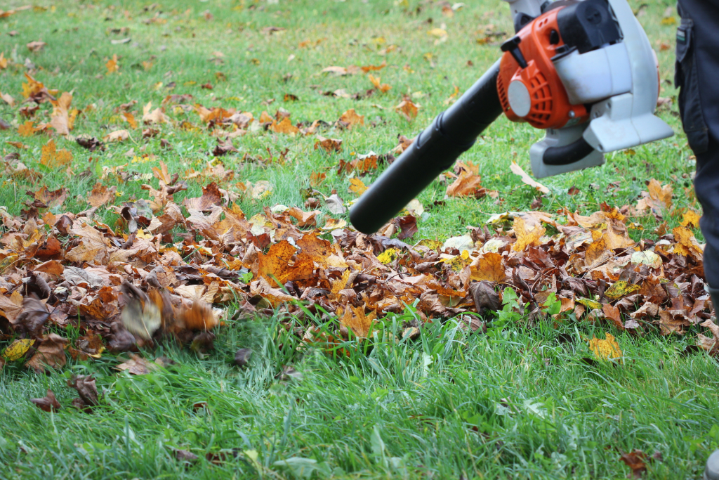 Clearing Winter Debris and Assessing Winter Damage Clearing Winter Debris and Assessing Winter Damage