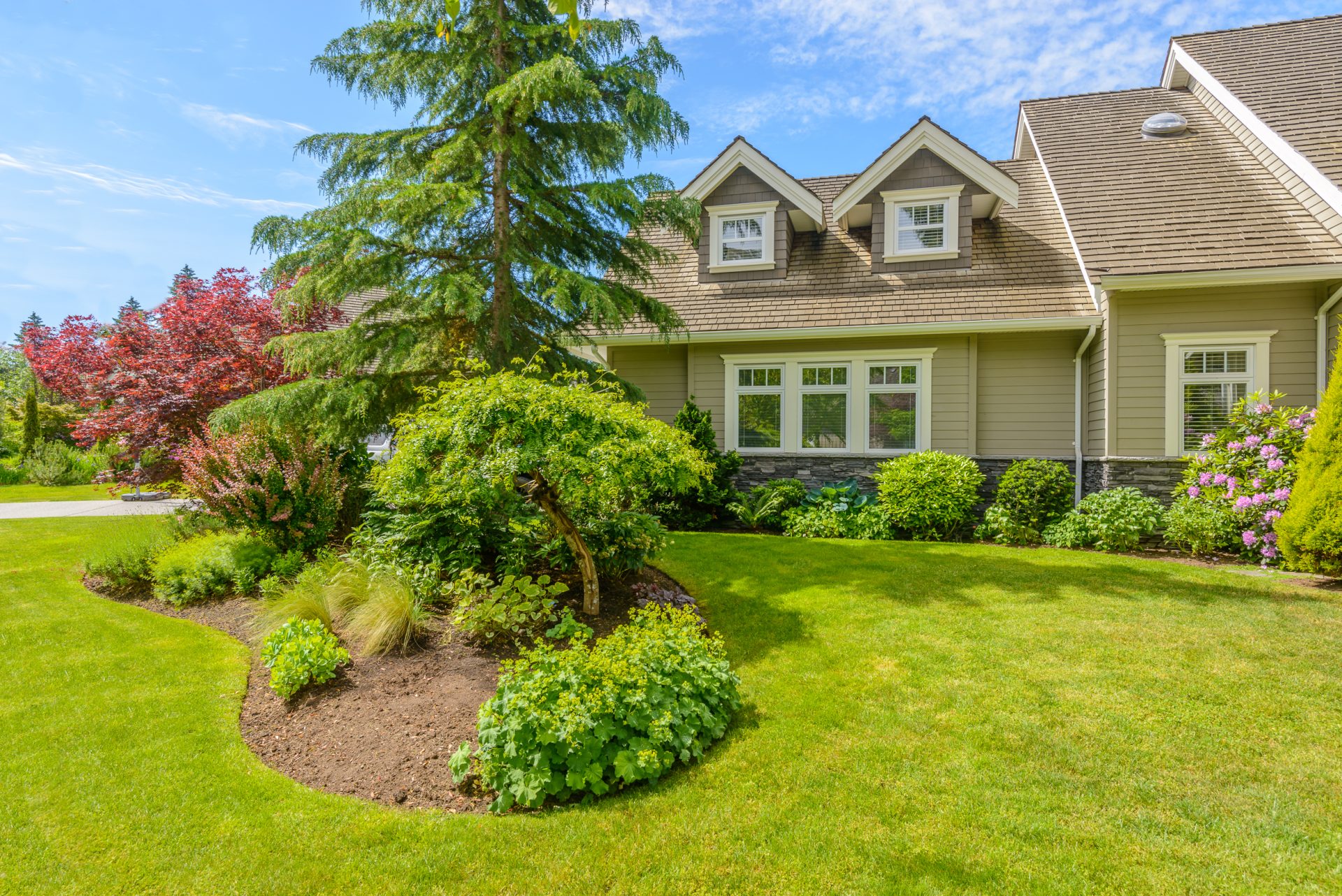 lawn