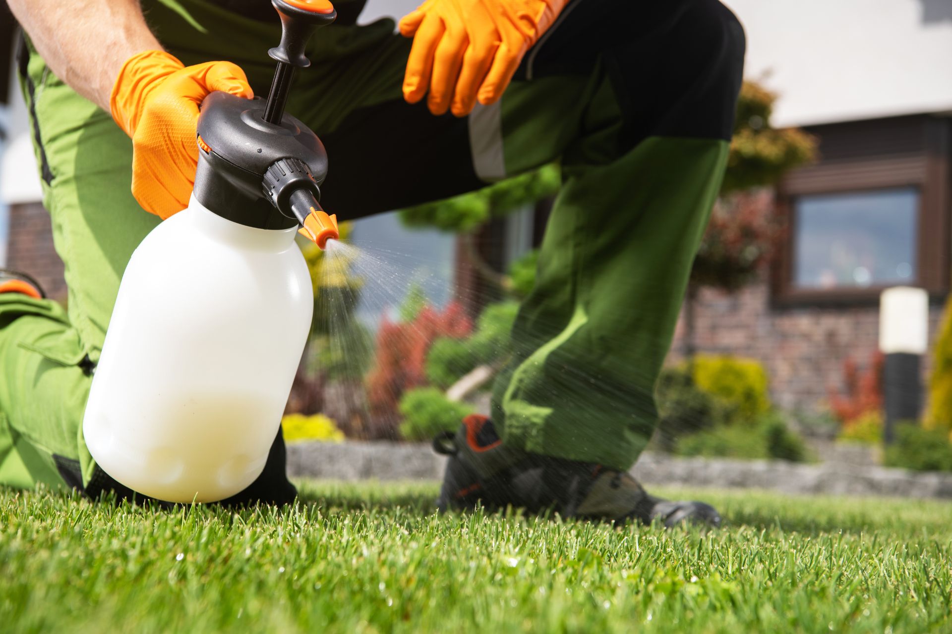 Weed Control Weed Control in Perrysburg