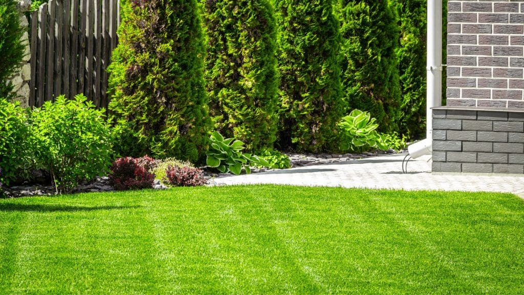 Spring Landscaping Tips