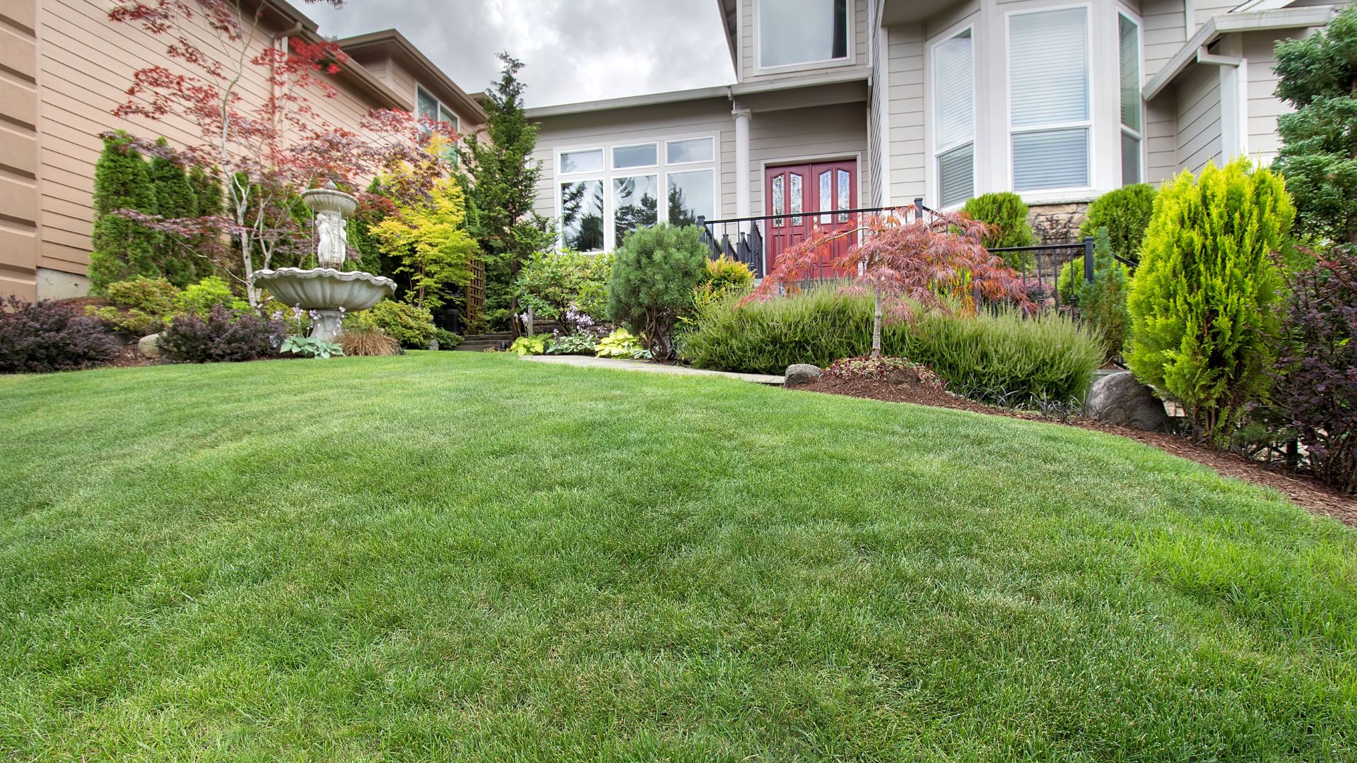 lawn care
