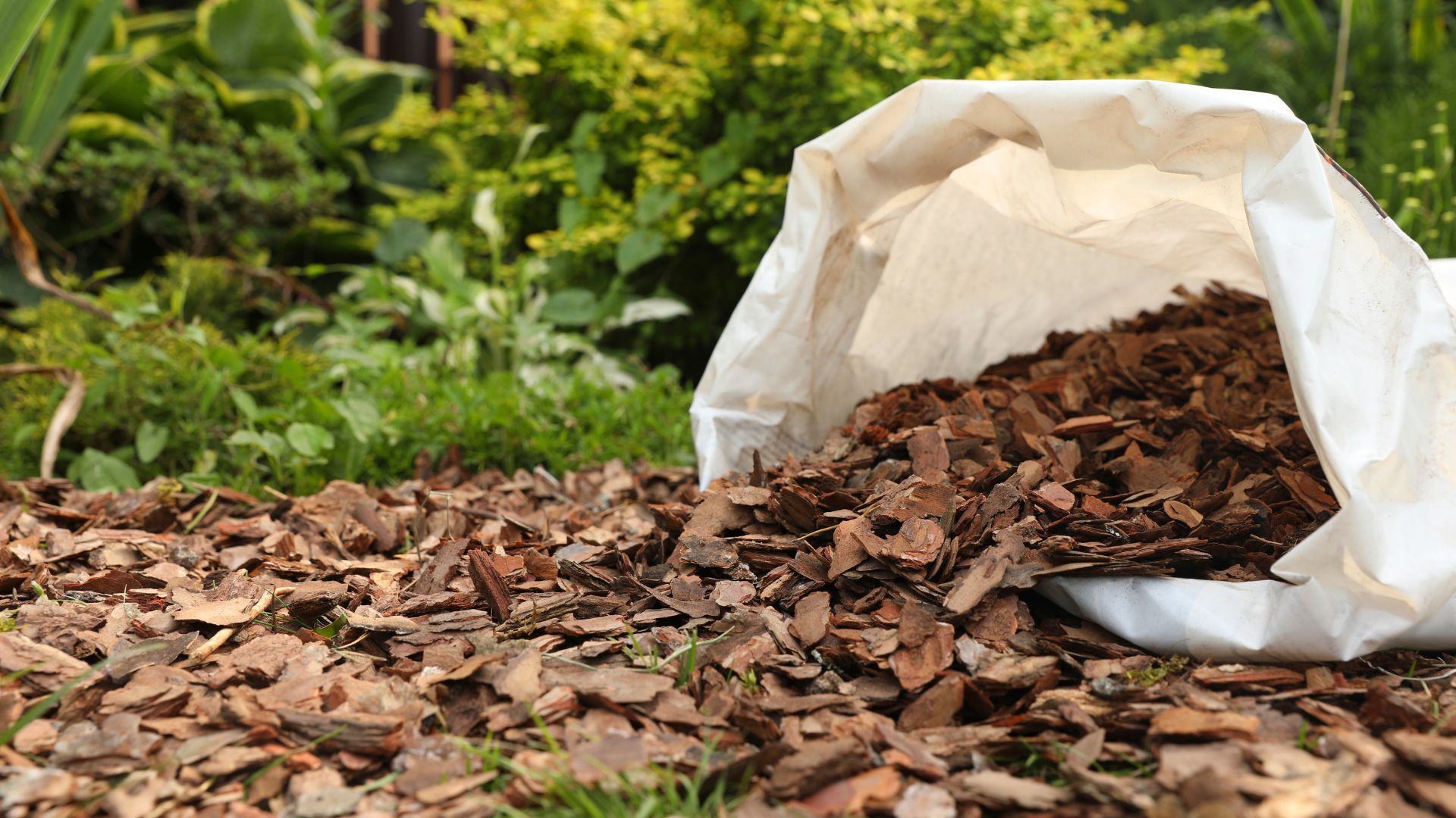 Mulching & Maintenance Tips Mulching & Maintenance Tips