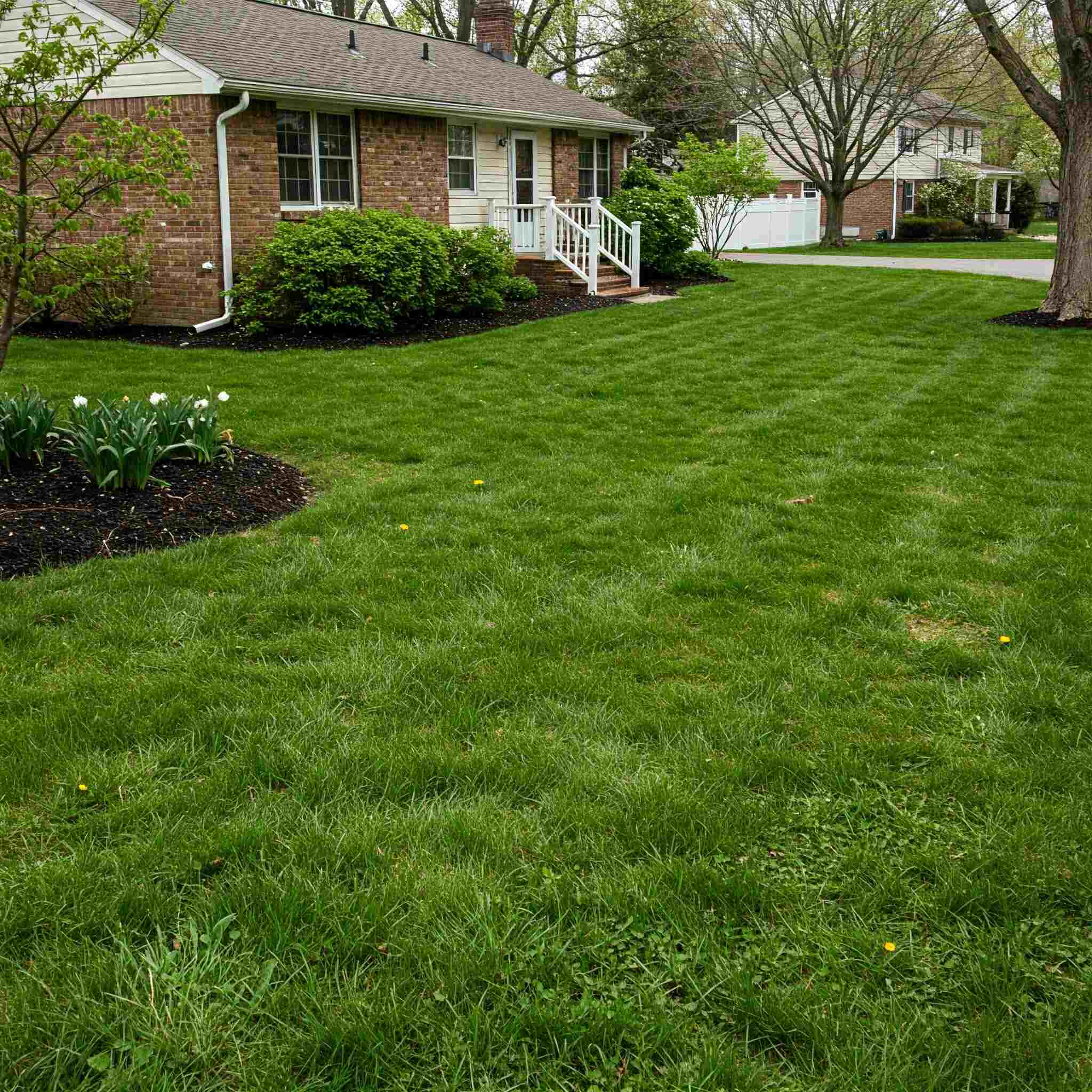 Mow at the right height Ohio Mow at the right height Ohio