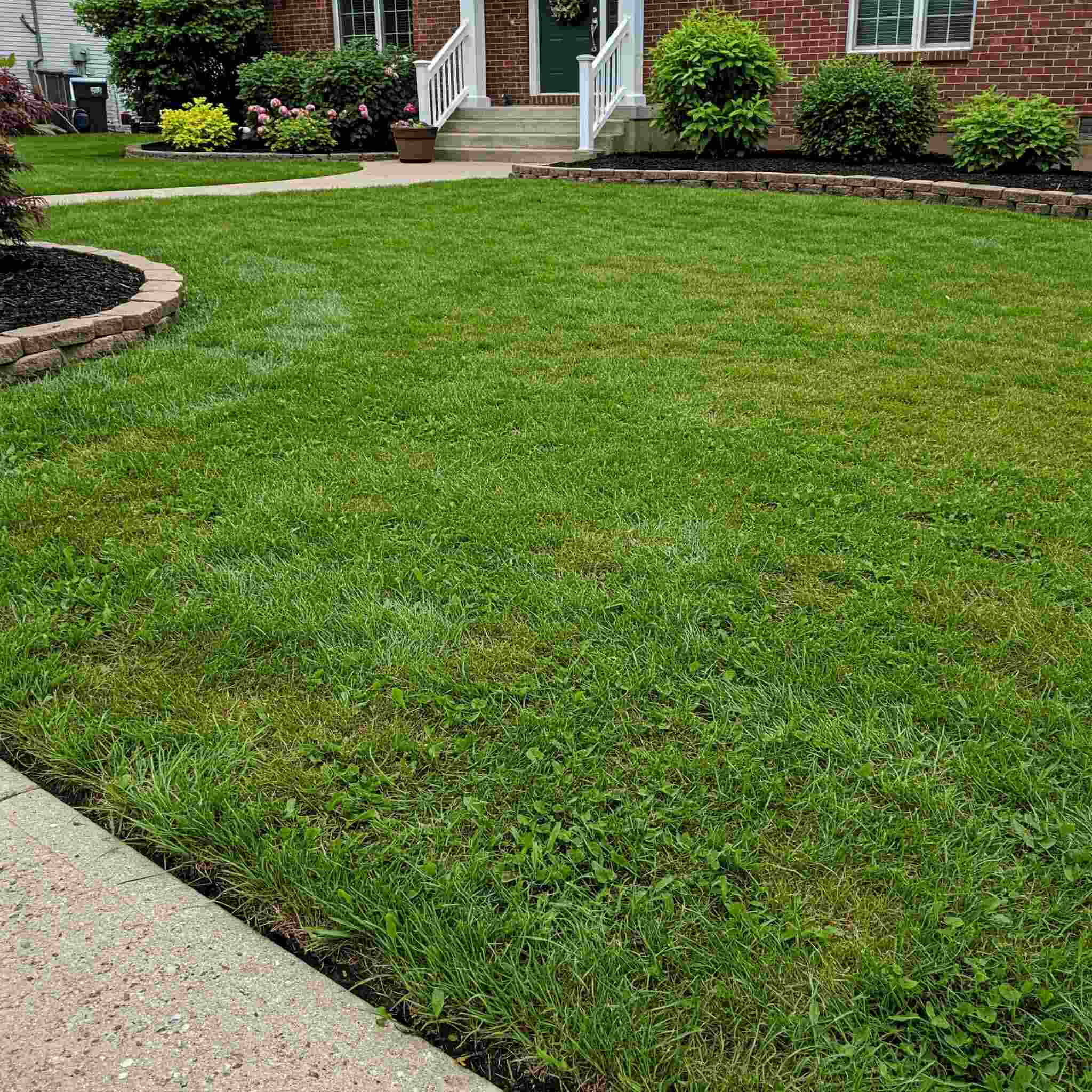weed control in a residential property in Ohio weed control in a residential property in Ohio