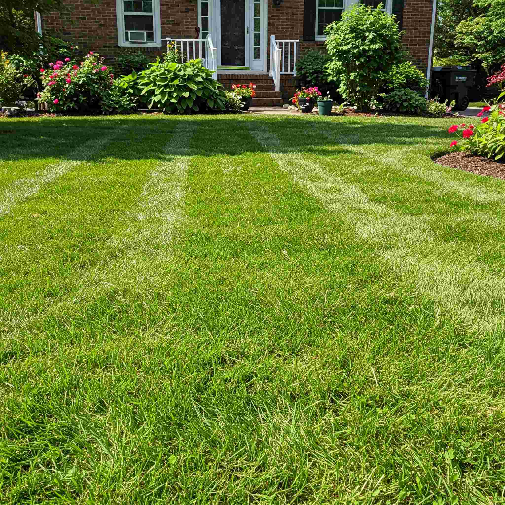 Mow at the Right Height for Summer in a residential property in Ohio Mow at the Right Height for Summer in a residential property in Ohio